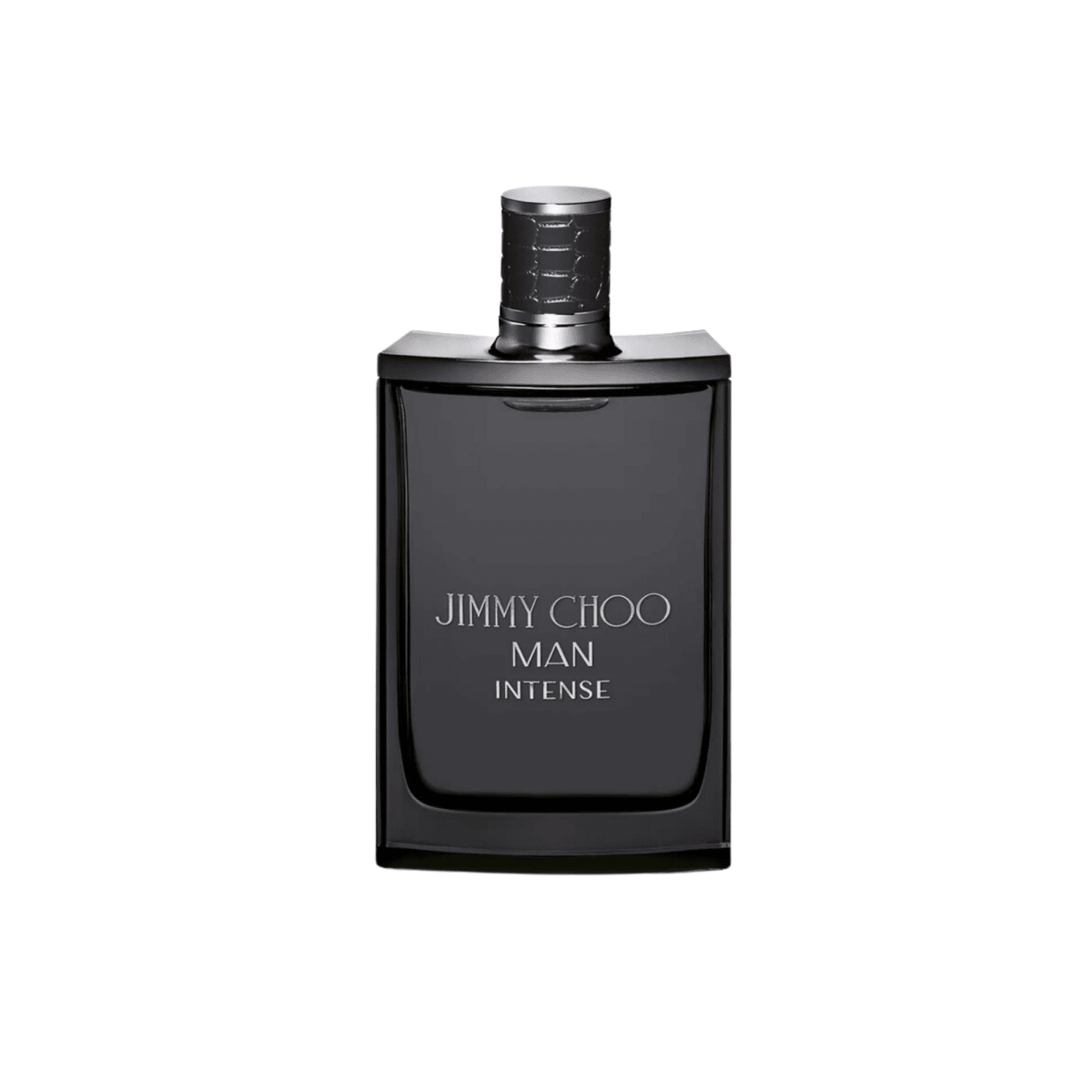 Jimmy Choo Man Intense Fragrance 6.7 oz 3386460108768
