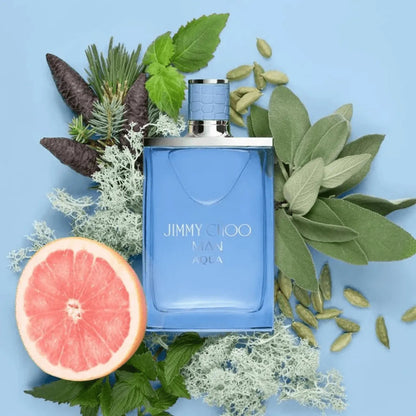 Jimmy Choo Mens Aqua Fragrance 3.4 oz 3386460129824