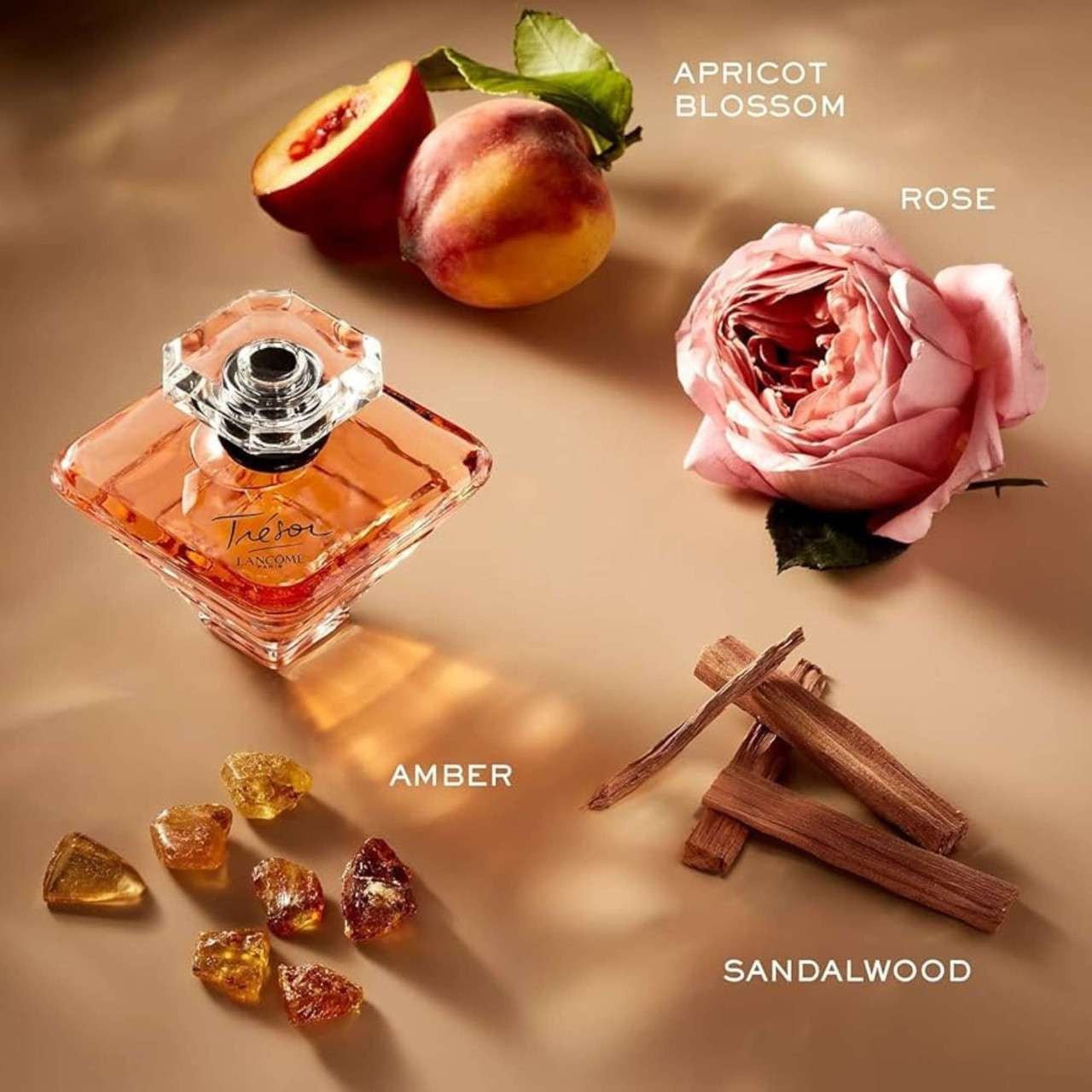 Lancome Tresor Fragrance 3.4 oz 3147758034929