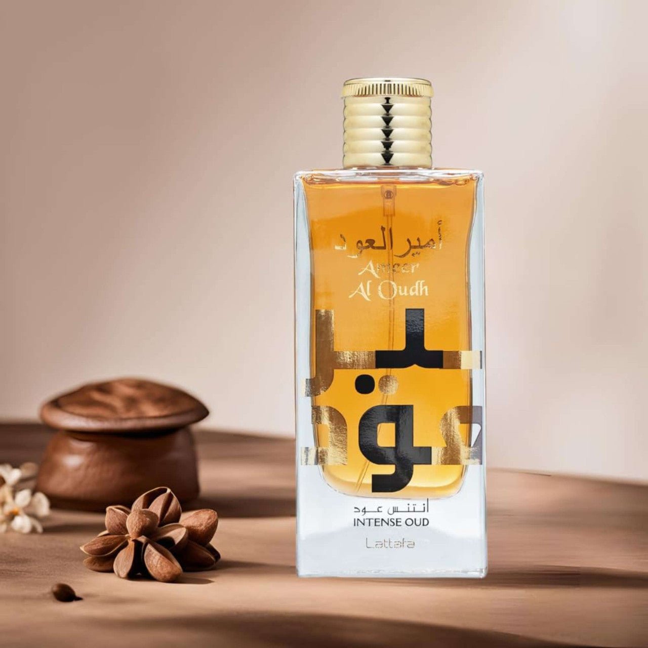 Lattafa Ameer Al Oudh Intense Oud Fragrance 3.4 oz 6291107458571