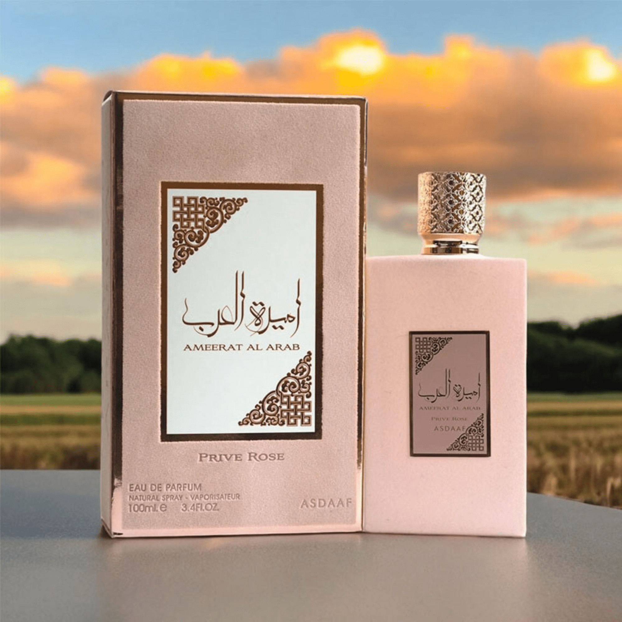 Lattafa Ameerat Al Arab Prive Rose Fragrance 3.4 oz 6290360590868