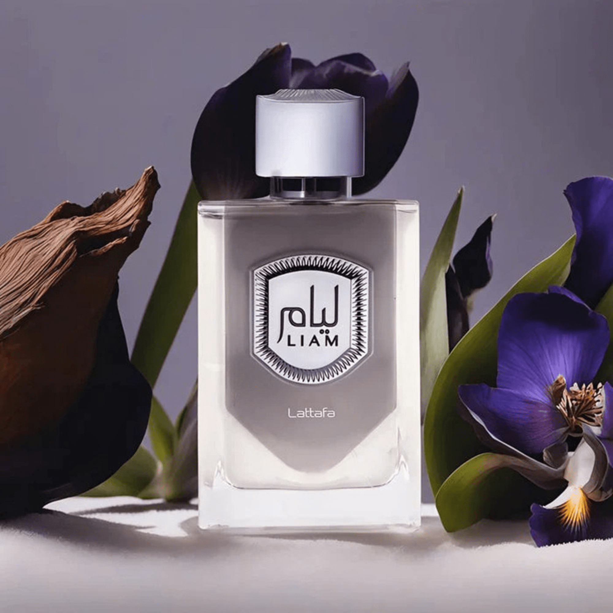 Lattafa Liam Grey Fragrance 3.4 oz 6290360591537