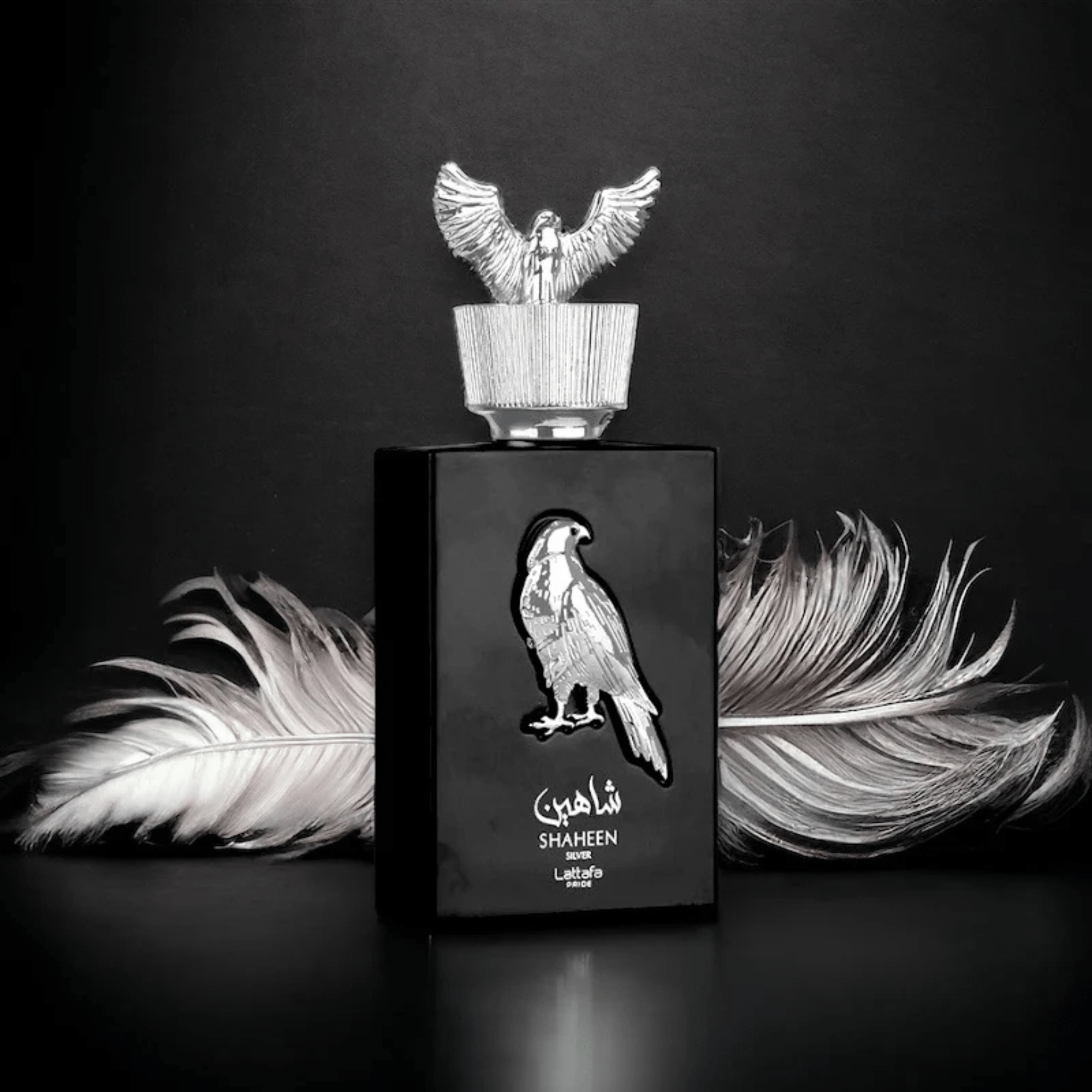 Lattafa Pride Shaheen Silver Fragrance 3.4 oz 6291108738658