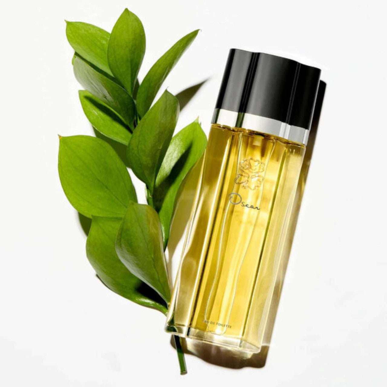 Oscar de La Renta Oscar Fragrance 3.4 oz 085715571007