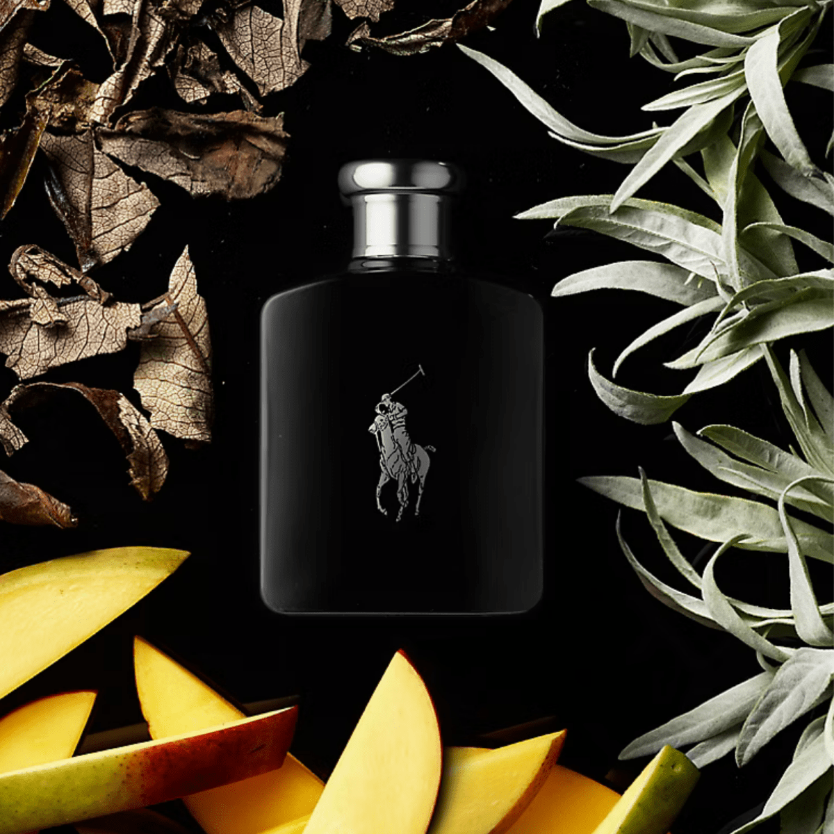 Ralph Lauren Polo Black Fragrance 4.2 oz 3360377032767