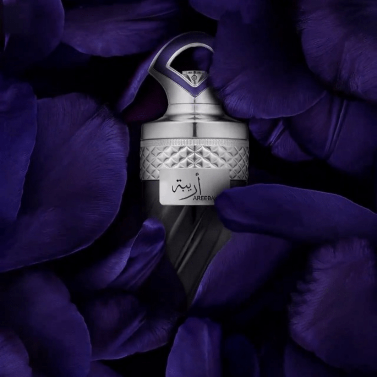 Riiffs Areebah Fragrance 3.4 oz 6297001574188