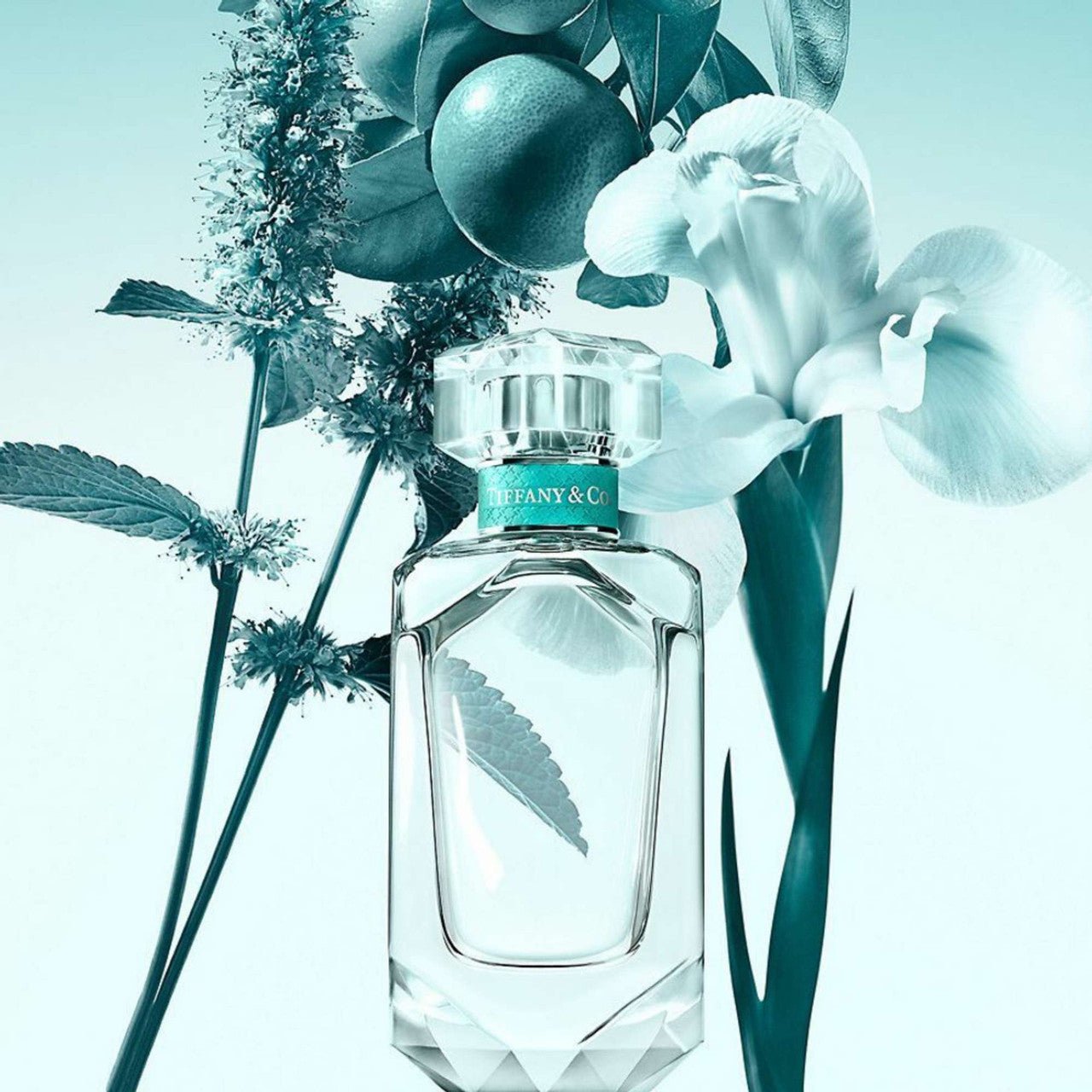 Tiffany & Co. Sheer Fragrance 2.5 oz 3614226969613