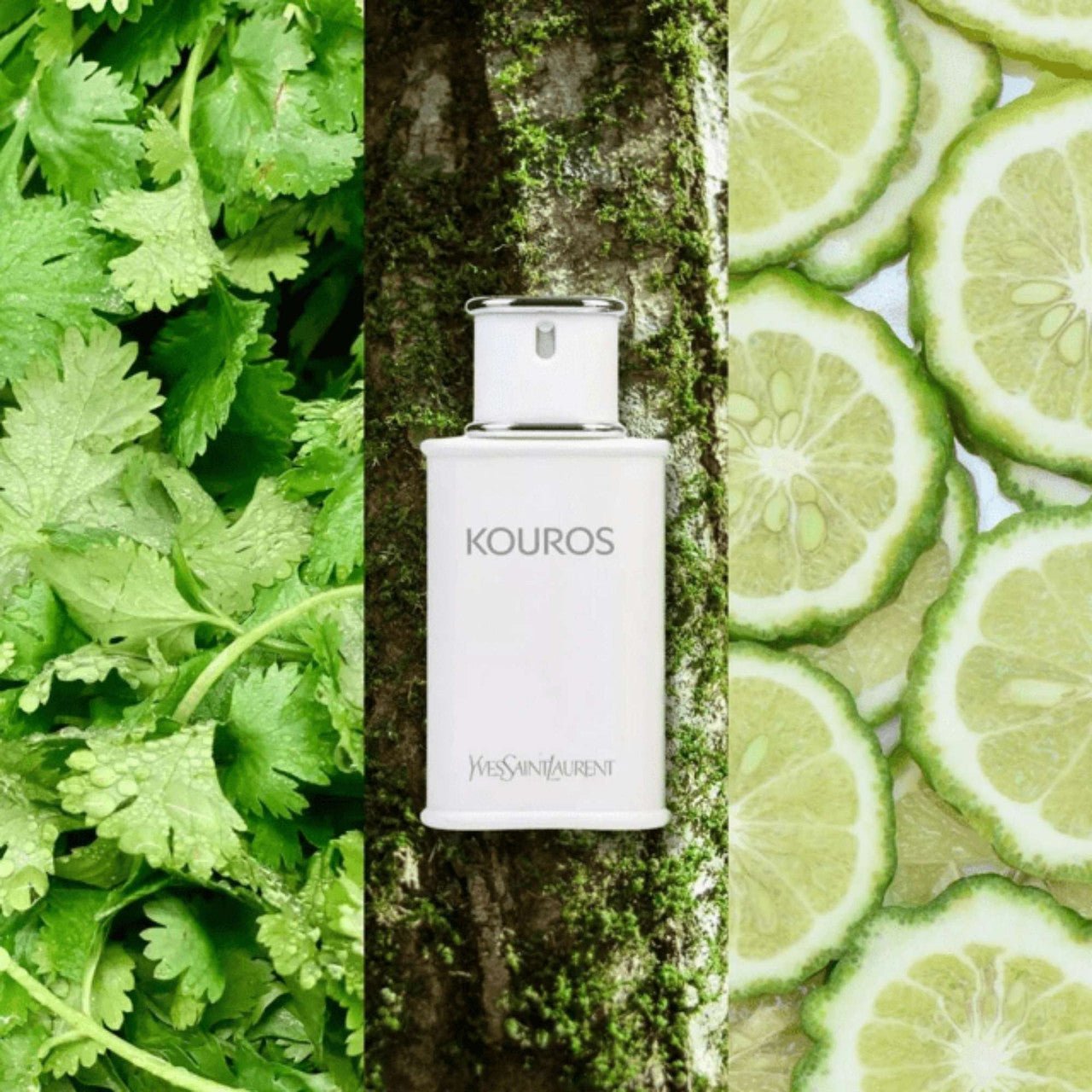 Yves Saint Laurent Kouros Fragrance 3.3 oz 3365440003866
