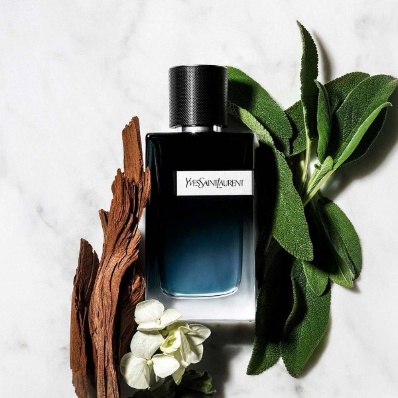 Yves Saint Laurent Y Eau de Parfum Intense Fragrance 3.3 oz 3614273898478