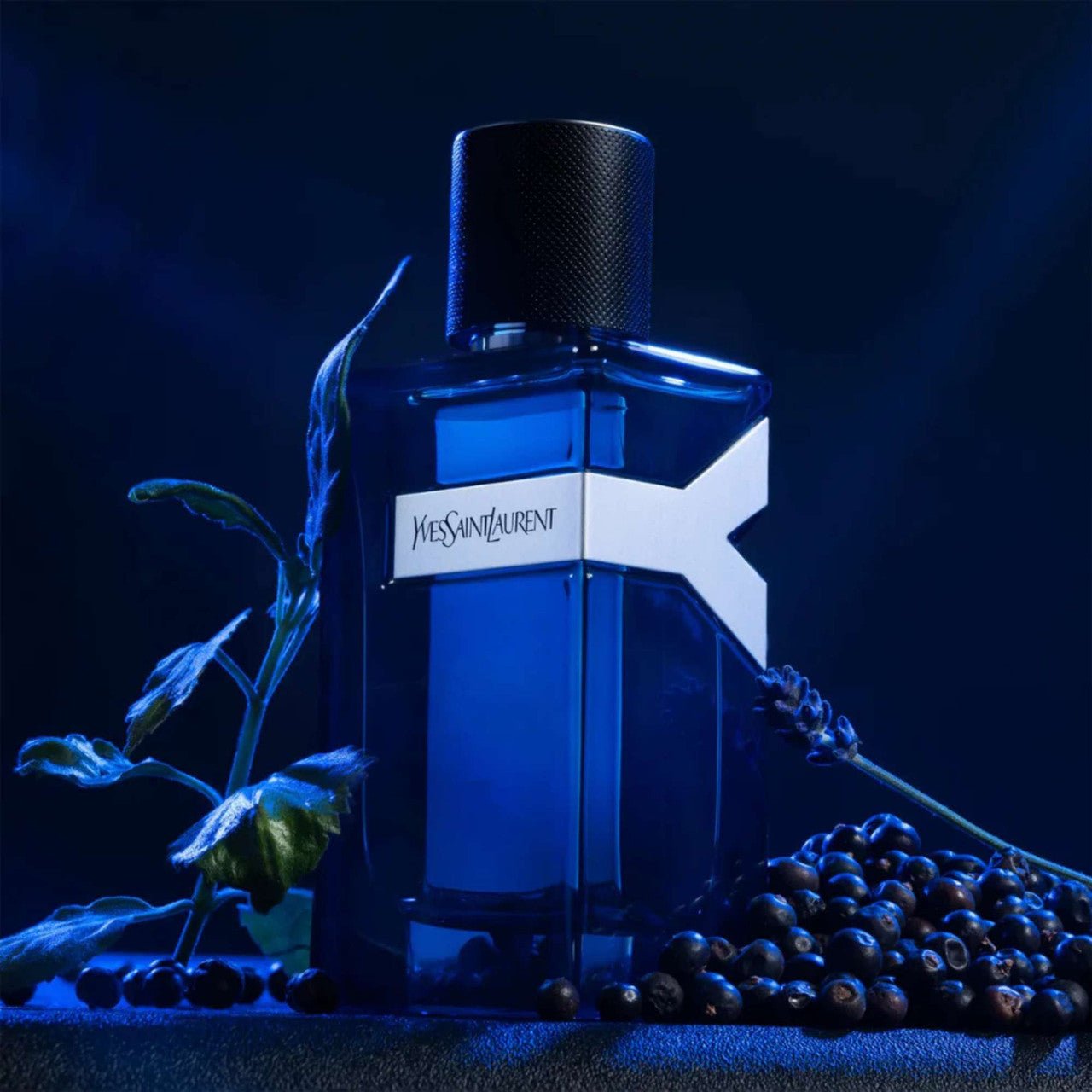 Yves Saint Laurent Y Fragrance 3.3 oz 3614272050358