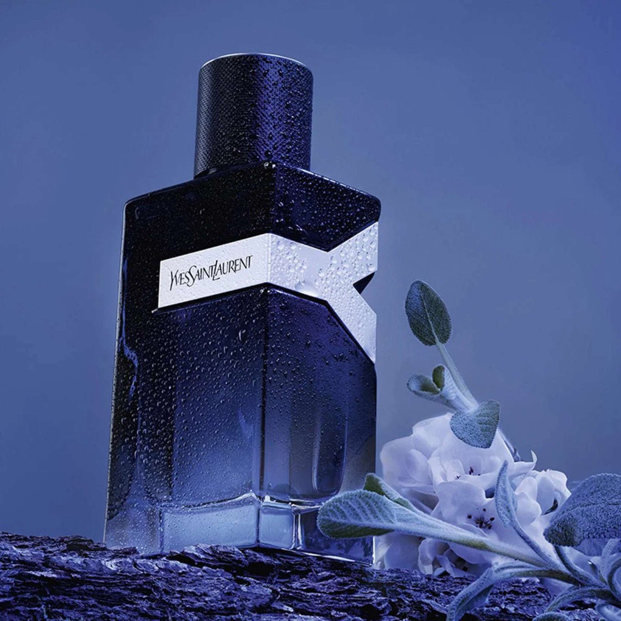 Yves Saint Laurent Y Fragrance 3.3 oz 3614272050358